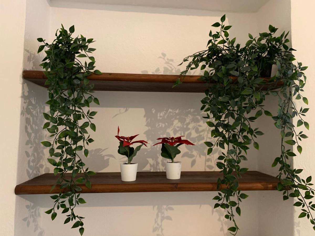 La Casa Di Ale Nel Centro Storico Di Cagliari Apartment Luaran gambar